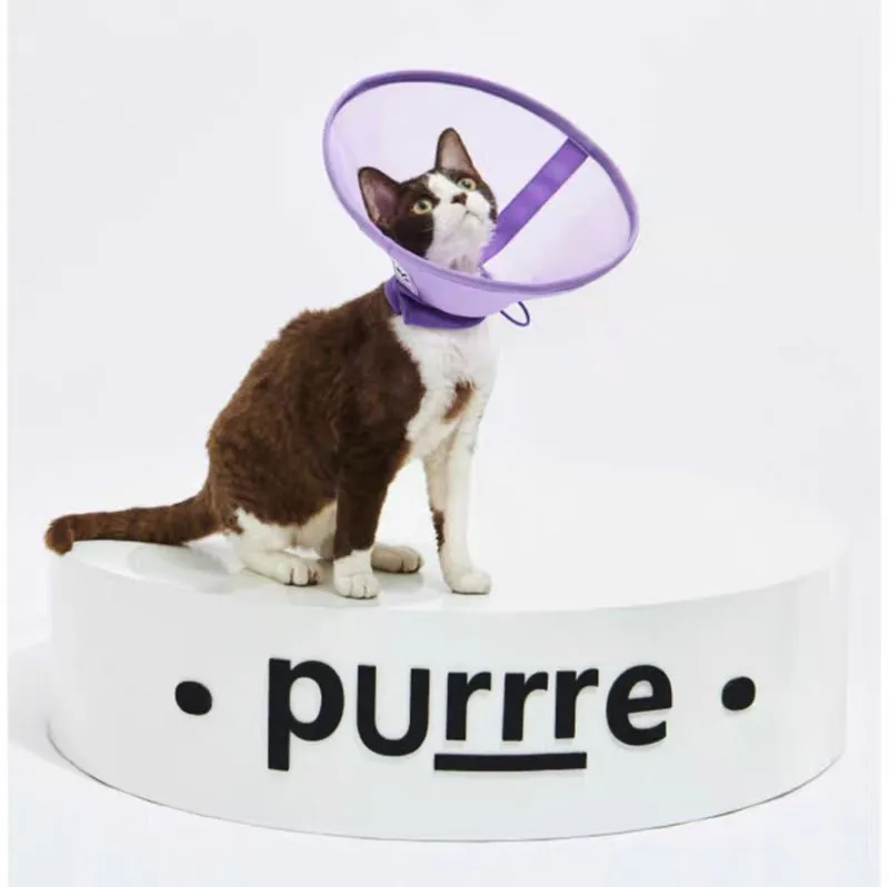 Airy Elizabethan Collar (2 Colours)