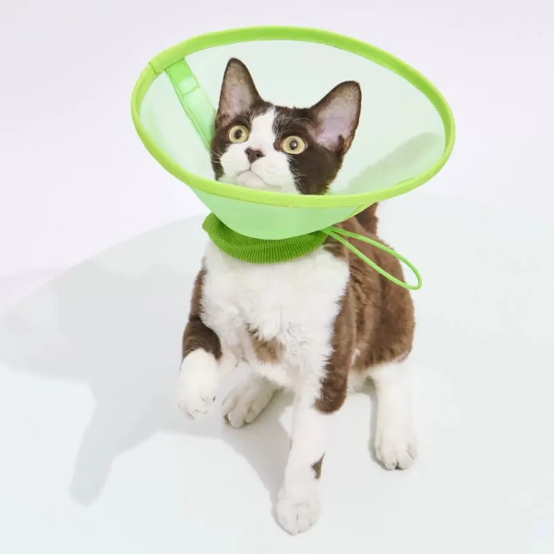 Airy Elizabethan Collar (2 Colours)