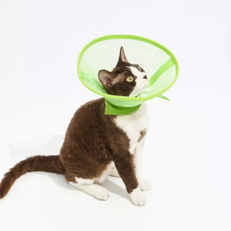 Airy Elizabethan Collar (2 Colours)