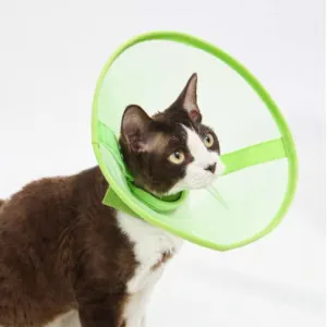 Airy Elizabethan Collar (2 Colours)