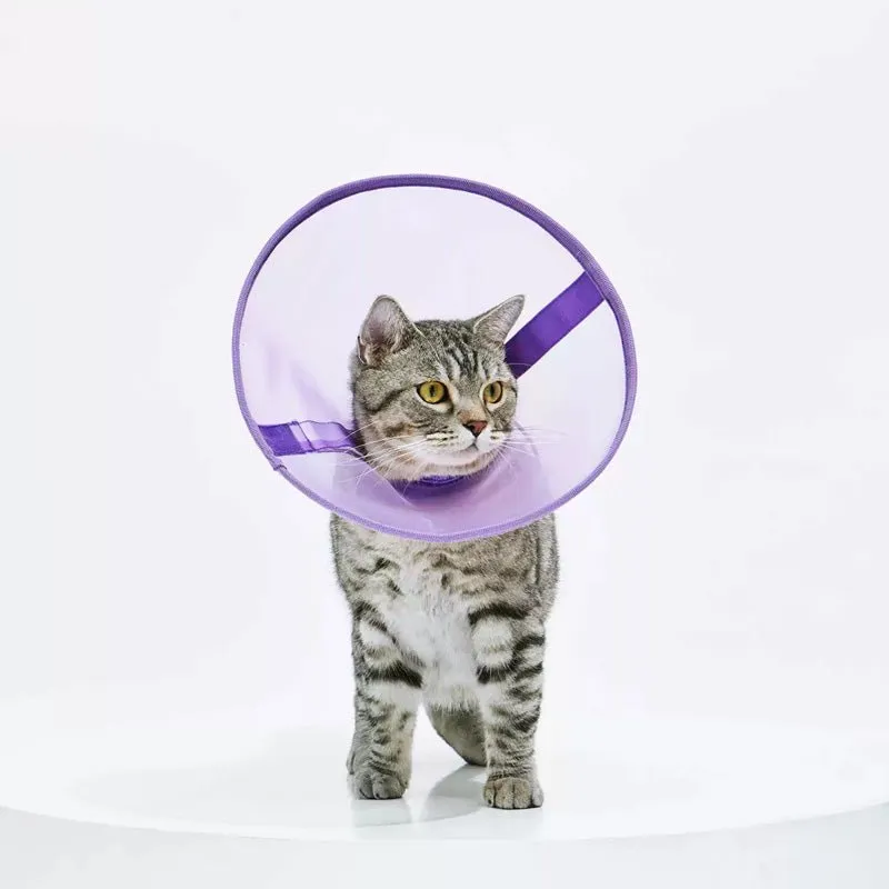 Airy Elizabethan Collar (2 Colours)