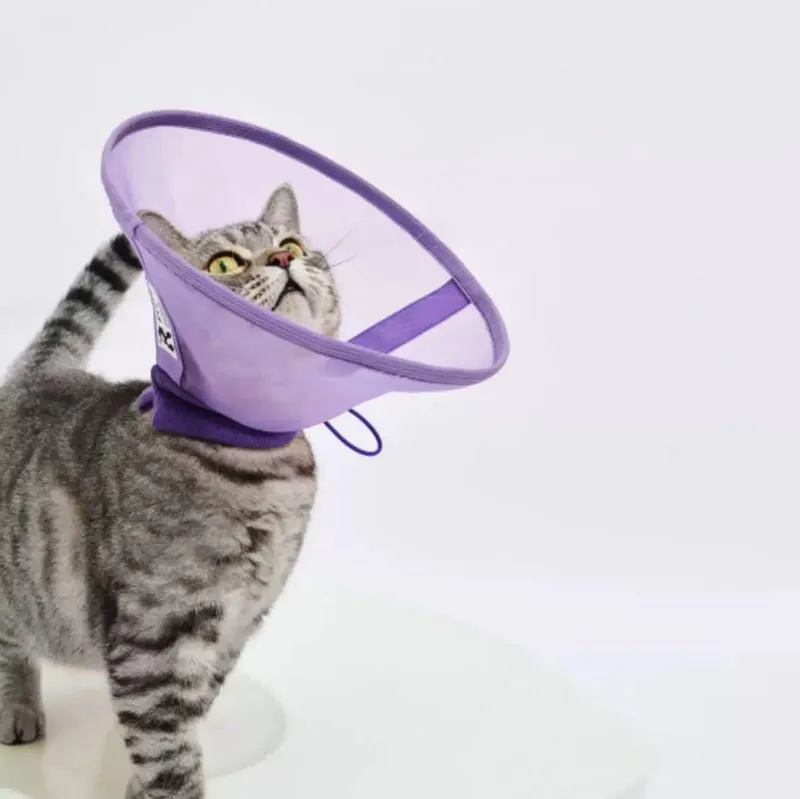 Airy Elizabethan Collar (2 Colours)