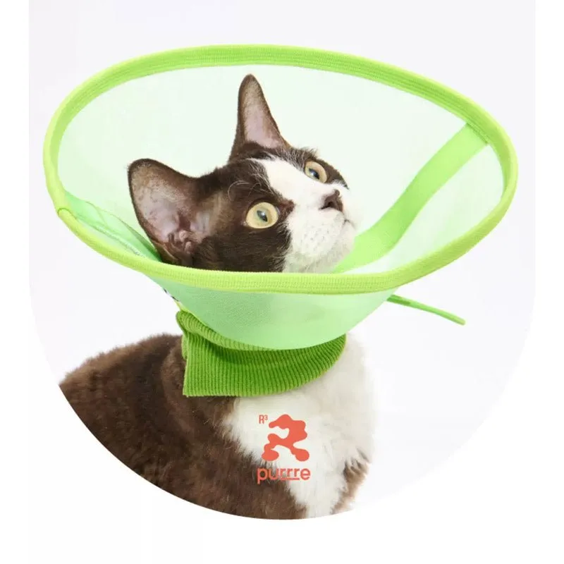 Airy Elizabethan Collar (2 Colours)