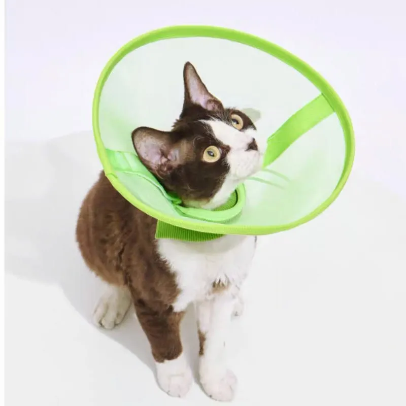 Airy Elizabethan Collar (2 Colours)