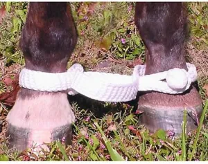MUSTANG Flat Braided Nylon Hobbles
