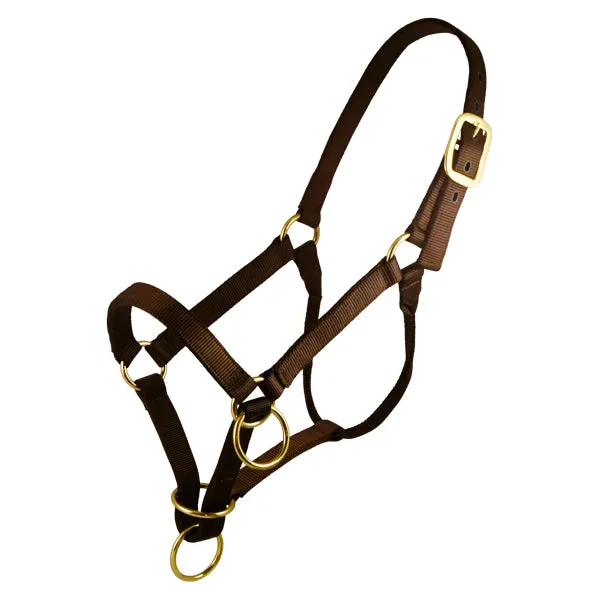 Packer's Halter (Multiple Colors)