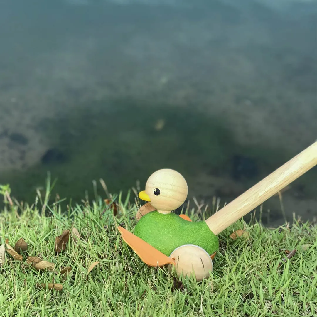 Plan Toys Push-Along Duck