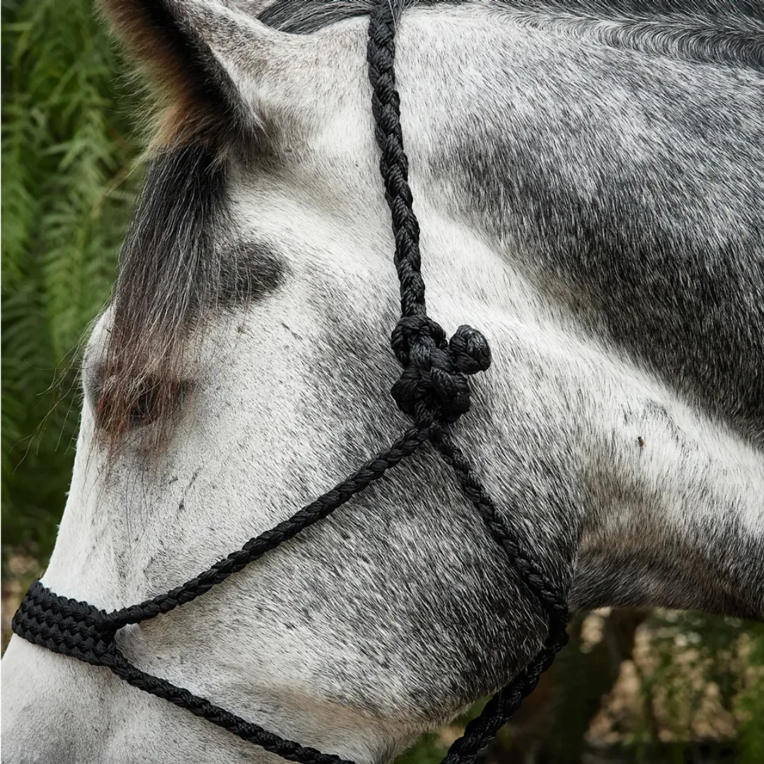 Tough 1 Black Mule Tape Halter with 10' Lead Rope