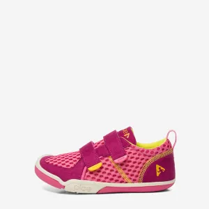 ty - festival / fuchsia